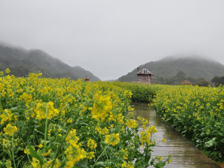 石门国家森林公园