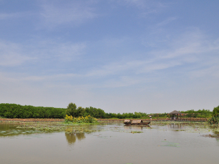 南沙湿地公园