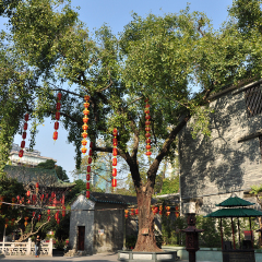 六榕寺