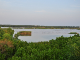 南沙湿地公园