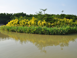 南沙湿地公园