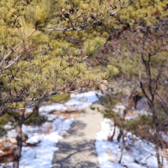 昆嵛山