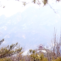 昆嵛山