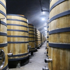 张裕酒文化博物馆