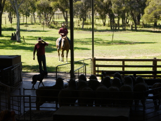 珀斯野生动物园