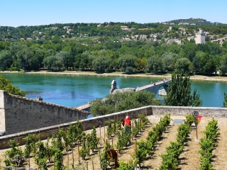 阿维尼翁圣母院