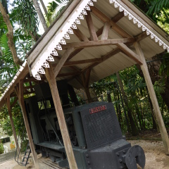 毛里求斯鳄鱼公园