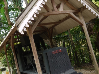 毛里求斯鳄鱼公园