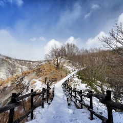 景点模块 