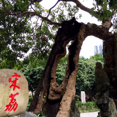 西禅寺