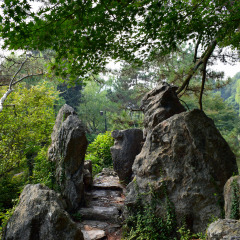 苏堤