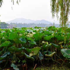 景点模块 