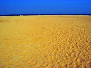 厦门观音山沙雕文化公园