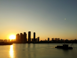 五缘湾湿地公园