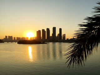 五缘湾湿地公园