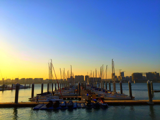 五缘湾湿地公园