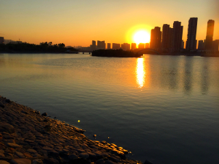 五缘湾湿地公园