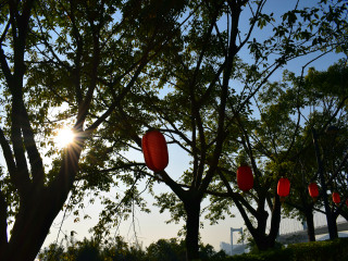 厦门博饼民俗园