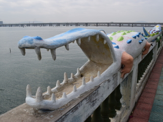 厦门南顺鳄鱼园