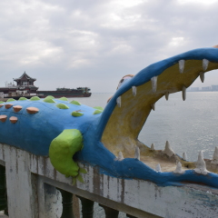 厦门南顺鳄鱼园