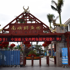 厦门南顺鳄鱼园