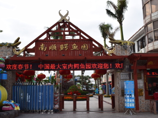 厦门南顺鳄鱼园
