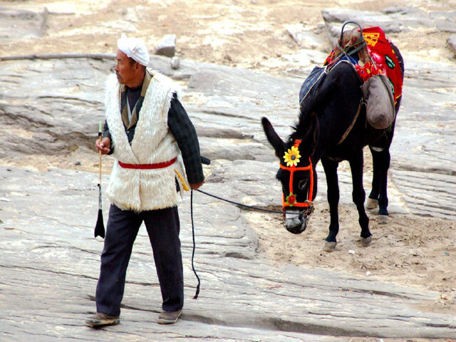 [国庆] 壶口瀑布-悬空寺-平遥-乔家-五台山-云冈当地6日游>当地参团,