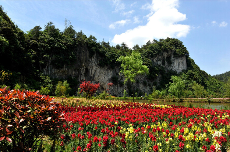 花坝旅游景区图片