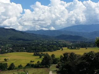 COFFEE IN LOVE咖啡屋