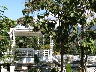 COFFEE IN LOVE咖啡屋