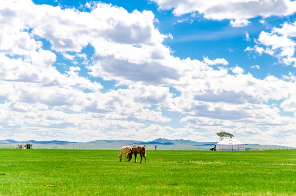 坐看云卷云舒,我在锡林郭勒那片草原等你
