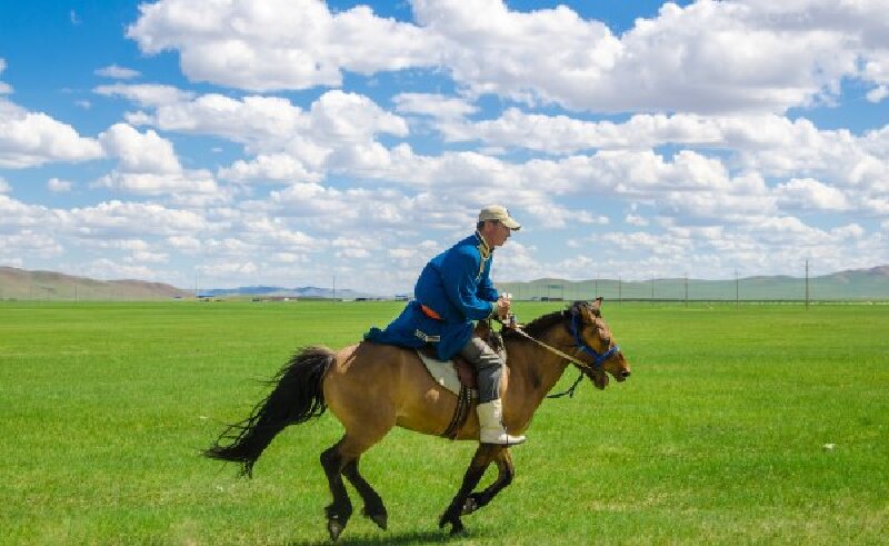 坐看云卷云舒我在锡林郭勒那片草原等你