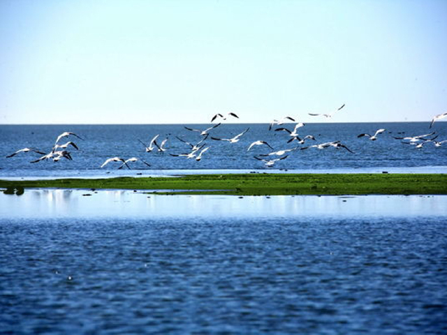 谁帮我翻译下这段话啊