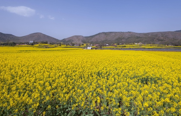 八月去杨凌旅游必备物品?带什么东西?