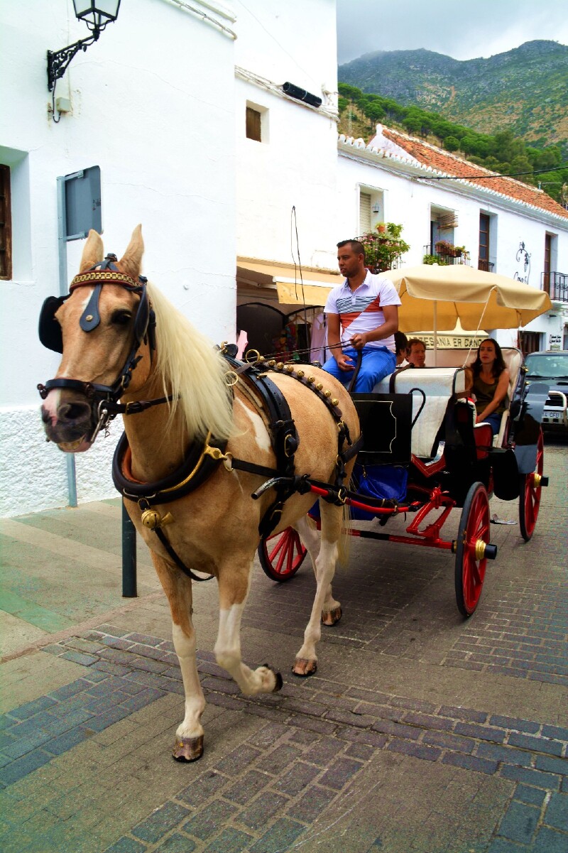 漂亮的马车从av  del  compas路上面行驶而过