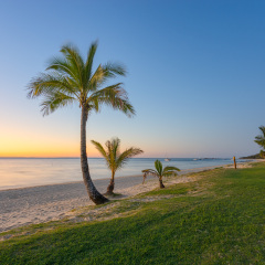 Moreton Island