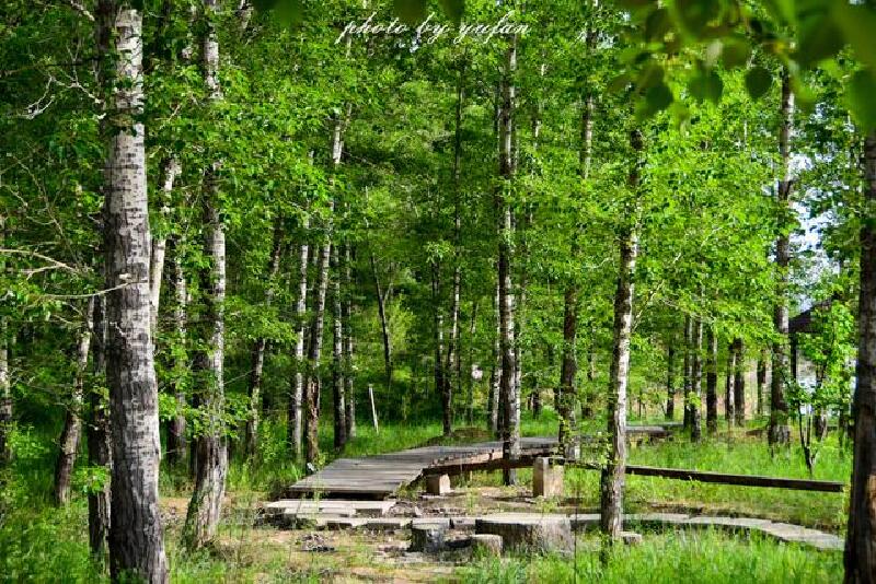 莫非这是一个假的内蒙古,森林深处竟然藏着一个江南水乡