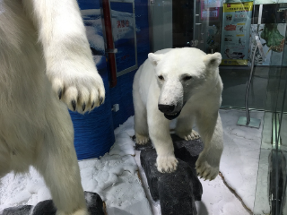 奥体冰雪奇幻乐园