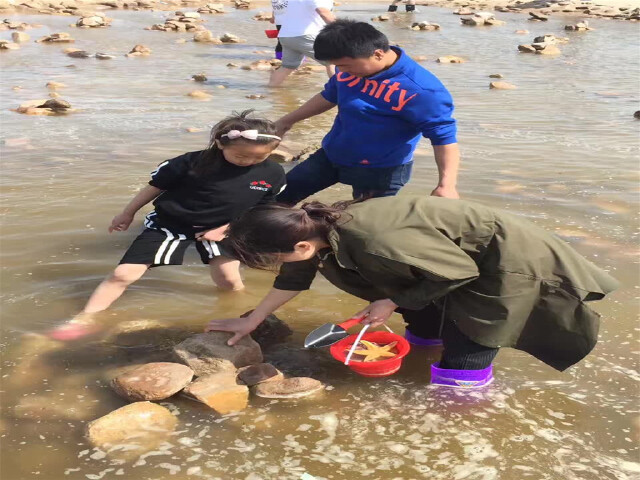 (參考時間)前往【鴿子窩公園趕海拾貝】童真大海(每個家庭贈送1個小