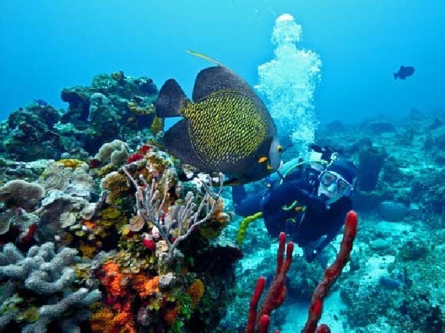 上海直飞印度尼西亚-美娜多4晚5日 豪华五星-纯