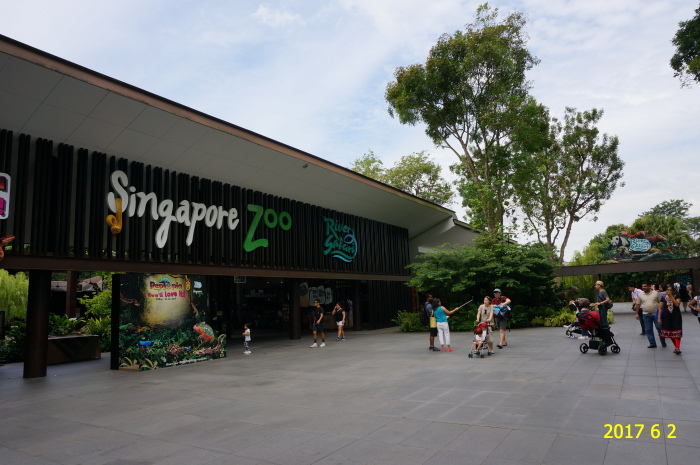 2017年新加坡七日自由行