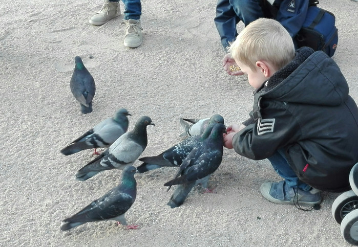 美人鱼雕塑广场小男孩喂鸽子