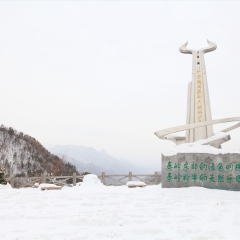 陕西秦岭牛背梁_1059