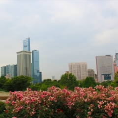 大连劳动公园_1132