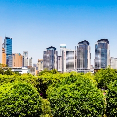 大连劳动公园内部景色_1135