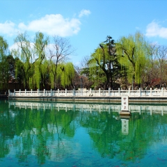 山东济南珍珠泉_1187