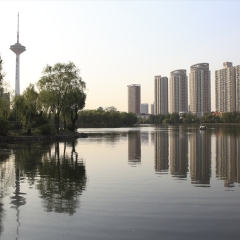 青年公园_1128