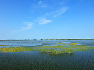 洪河自然保护区