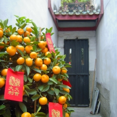 澳门三大古庙之莲峯庙主侧殿通道_991