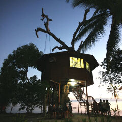 People By Tree House At Beach During Sunset